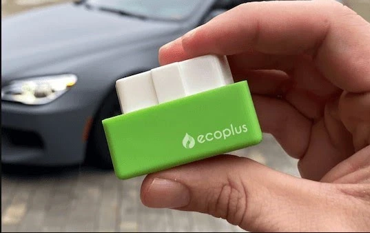 The Financial and Environmental Risks of the Ecoplus Scam